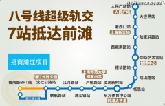 <b>南向套房从卧：从卧套</b>